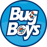 Bug Boys